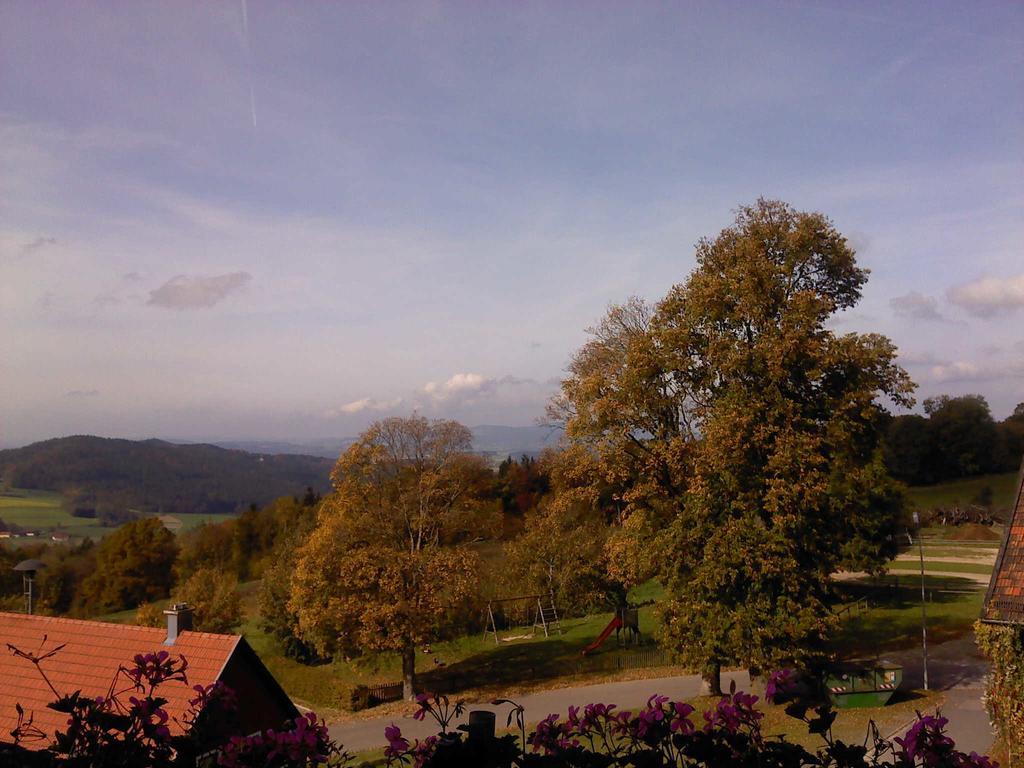Ferienwohnung Uschkereit Waldmünchen Exterior foto