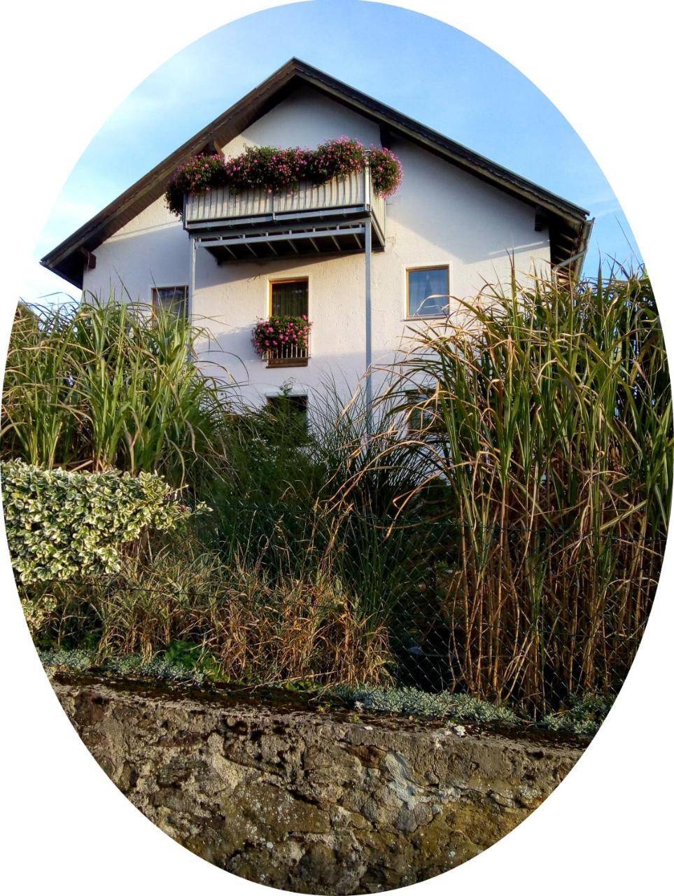 Ferienwohnung Uschkereit Waldmünchen Exterior foto